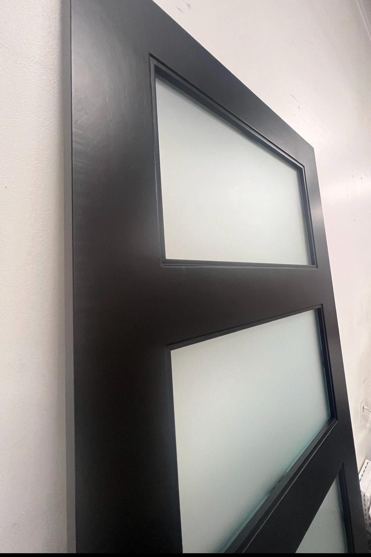 Custom Modern Glass Door, Hinged or Pocket Door